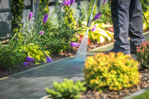 Best Dumpster Area Cleaning  in Lakes Of The Four Seasons, IN