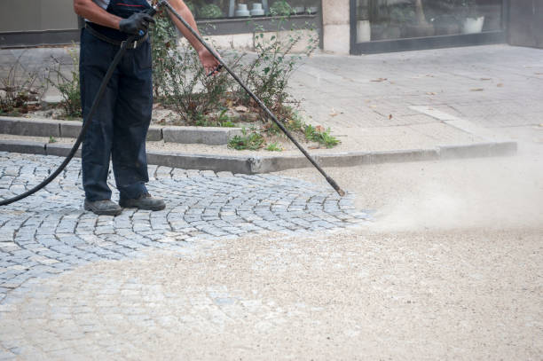 Best Fence Cleaning  in Lakes Of The Four Seasons, IN